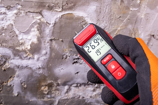 Best Mold Remediation  in Havre De Grace, MD