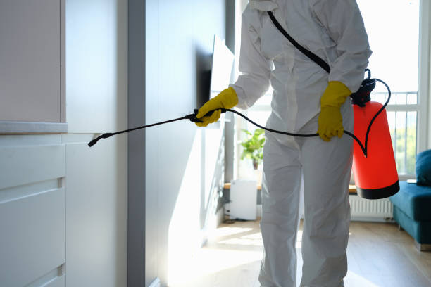 Best Certified Mold Removal  in Havre De Grace, MD