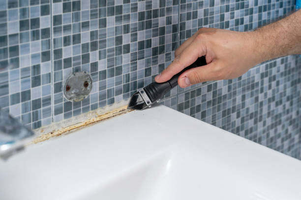 Best Emergency Mold Removal  in Havre De Grace, MD